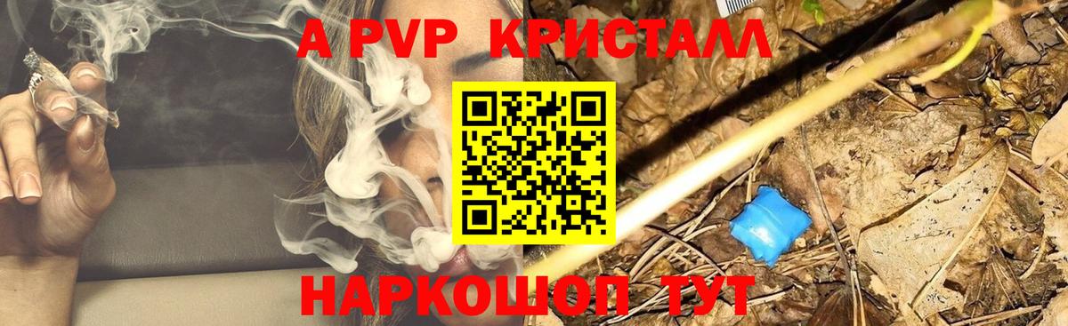 A PVP СК КРИС Курганинск