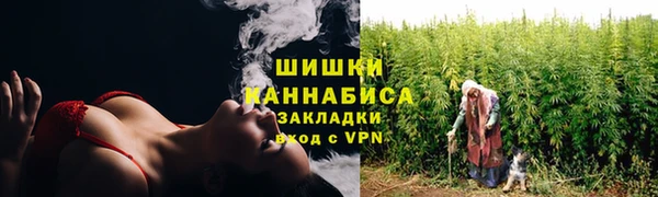 дмт Переславль-Залесский