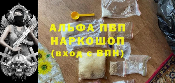 спайс Пересвет