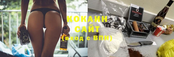 спайс Пересвет