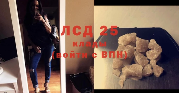 спайс Пересвет