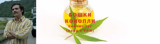 дмт Переславль-Залесский
