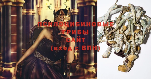 первитин Пестово