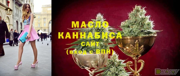 дмт Переславль-Залесский