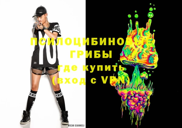дмт Переславль-Залесский