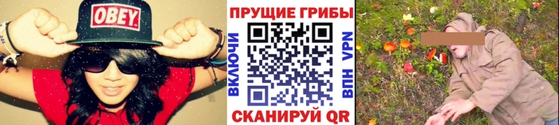 Галлюциногенные грибы мухоморы  Курганинск 