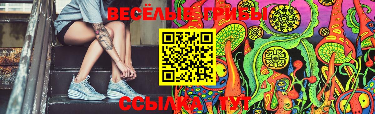 Галлюциногенные грибы Cubensis Курганинск