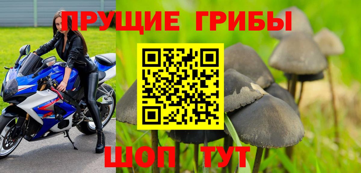 Галлюциногенные грибы Psilocybine cubensis Курганинск